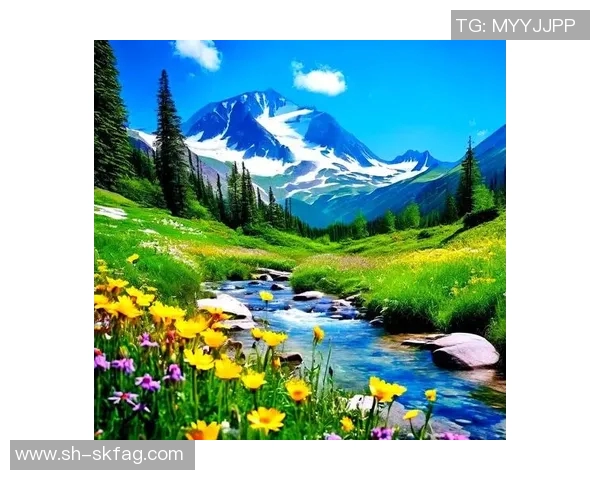 探索北西兰的自然风光与人文魅力,感受独特的旅行体验与文化交融