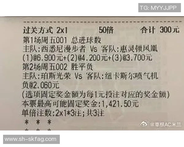 西悉尼对阵惠灵顿的战术分析与近期状态评估